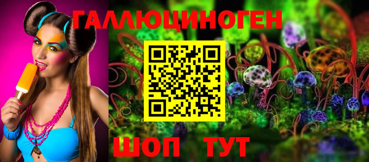 Балашов  Галлюциногенные грибы Psilocybe  Псилоцибиновые грибы Psilocybine cubensis  Вход с VPN 